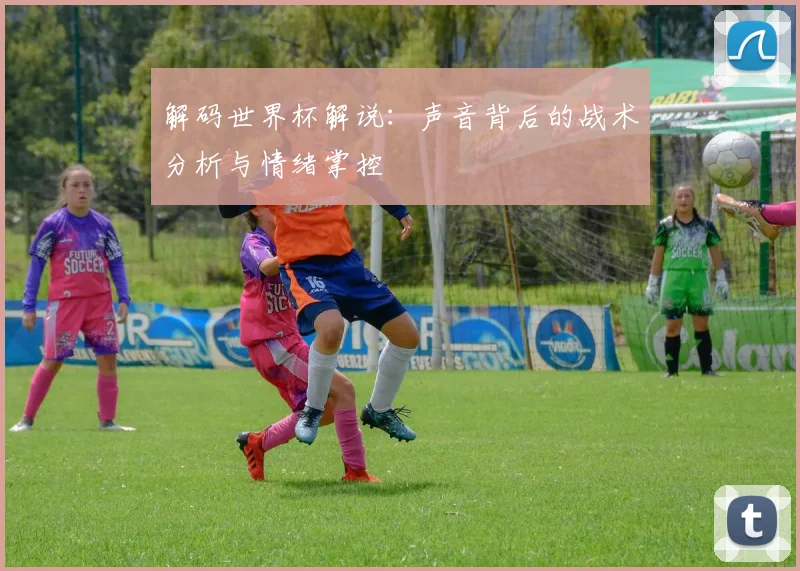 解码世界杯解说：声音背后的战术分析与情绪掌控