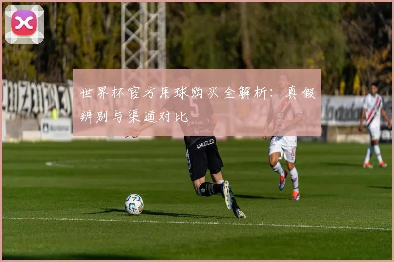 世界杯官方用球购买全解析：真假辨别与渠道对比