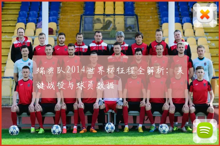 瑞典队2014世界杯征程全解析：关键战役与球员数据