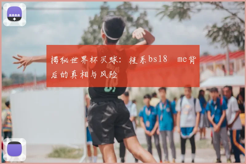 揭秘世界杯买球:桂系bs18婰me背后的真相与风险