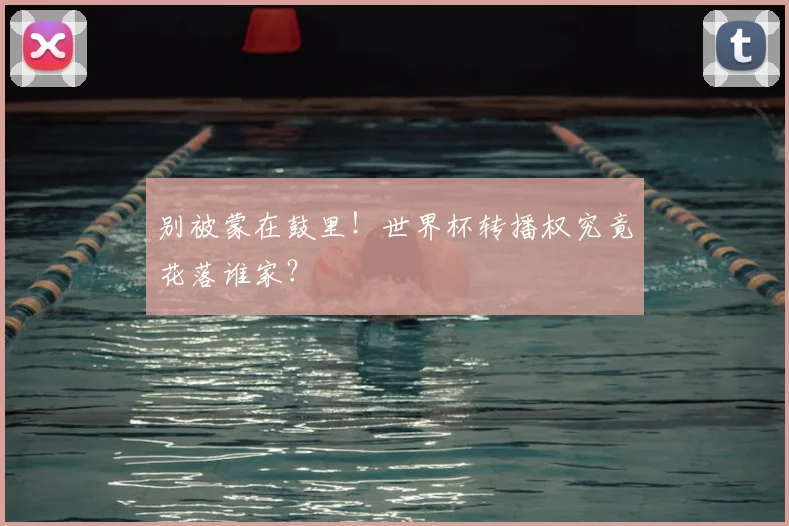 别被蒙在鼓里！世界杯转播权究竟花落谁家？