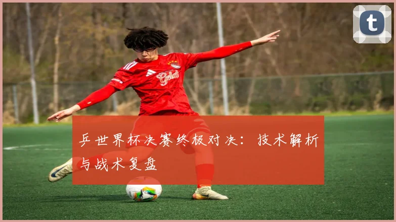 乒世界杯决赛终极对决：技术解析与战术复盘