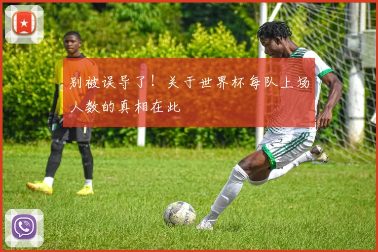 别被误导了！关于世界杯每队上场人数的真相在此