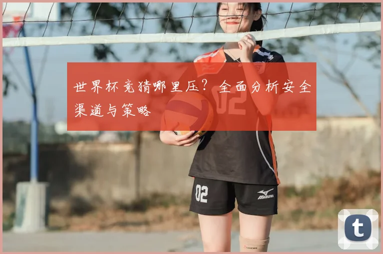 世界杯竞猜哪里压?全面分析安全渠道与策略