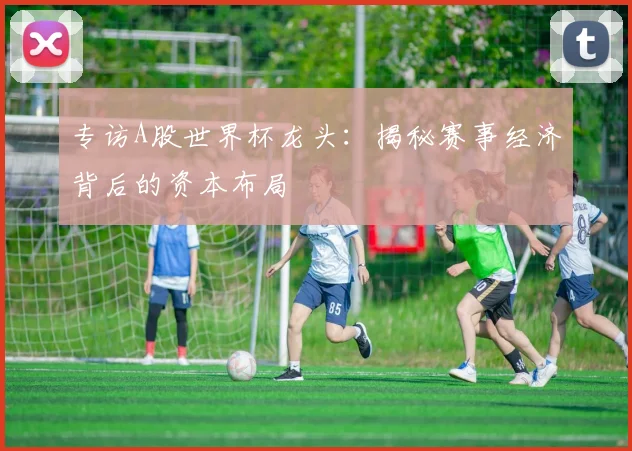 专访A股世界杯龙头:揭秘赛事经济背后的资本布局