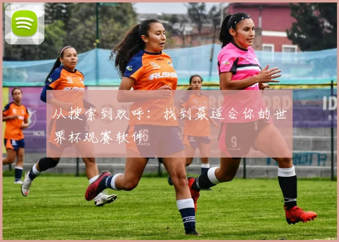 从搜索到欢呼：找到最适合你的世界杯观赛软件