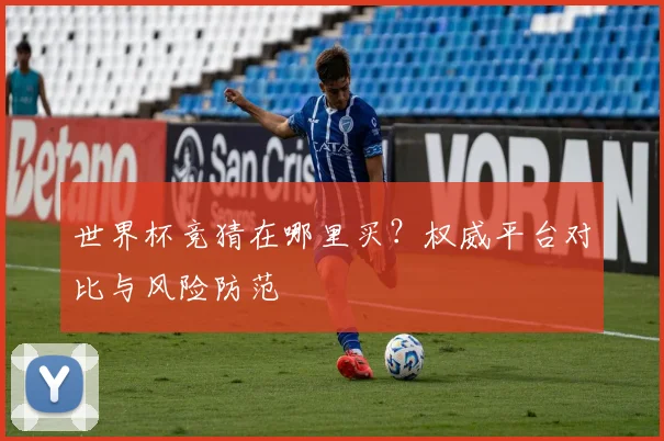 世界杯竞猜在哪里买？权威平台对比与风险防范