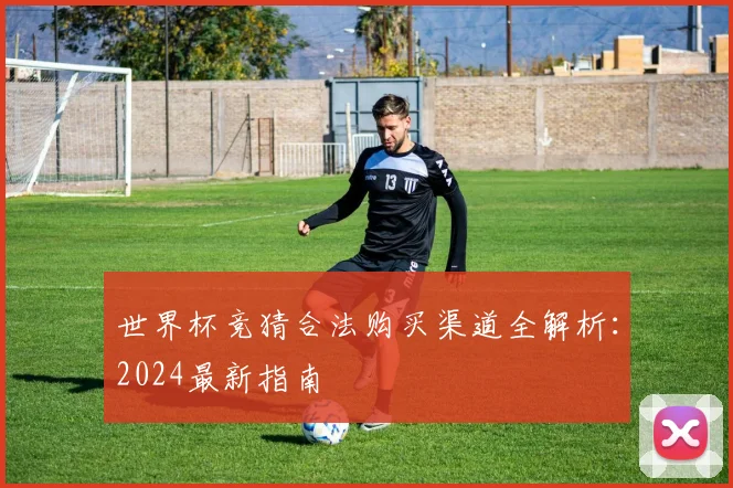 世界杯竞猜合法购买渠道全解析:2024最新指南