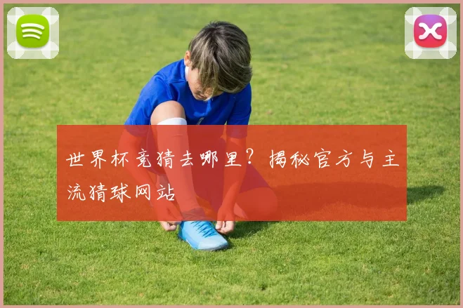世界杯竞猜去哪里?揭秘官方与主流猜球网站