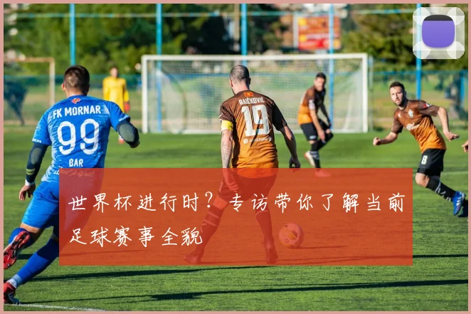 世界杯进行时？专访带你了解当前足球赛事全貌